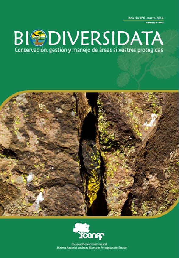 Portada BIODIVERSIDATA Nº 6
